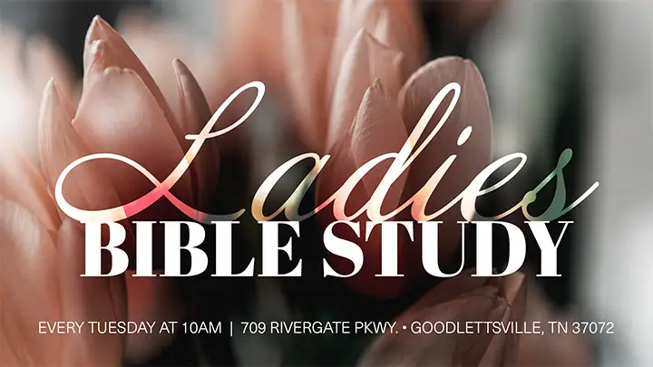 Ladies Bible Study